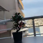Andra * ساراندا